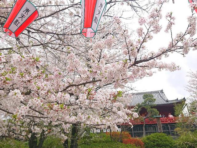 上野恩賜公園